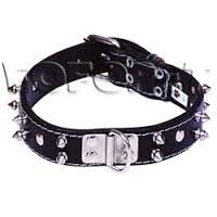 Coleira Pit Bull Society